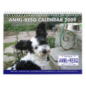 ANML-RESQ KALENDER (Titelbild)