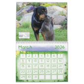 ANML-RESQ KALENDER (Mär 2026)