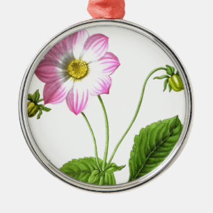 Anmut Silbernes Ornament