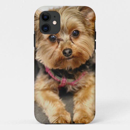 anmutig Case-Mate iPhone hülle (Rückseite)