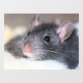 anmutig fensteraufkleber (Blatt)