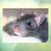 anmutig fensteraufkleber (Blatt 3)