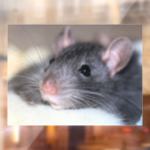 anmutig fensteraufkleber (Blatt 2)