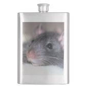 anmutig flachmann (Vorderseite)