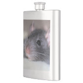 anmutig flachmann (Links)