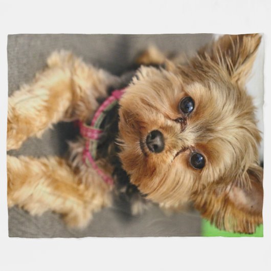 anmutig fleecedecke (Vorderseite (Horizontal))