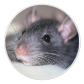 anmutig keramikknauf (Vorderseite)