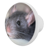 anmutig keramikknauf (Rechts)