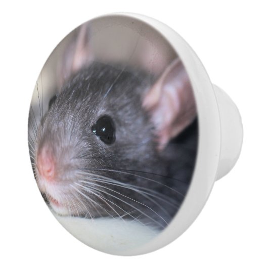 anmutig keramikknauf (Rechts)