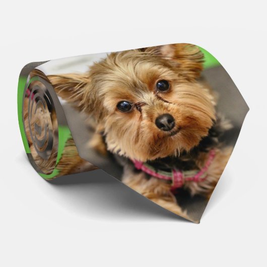 anmutig krawatte (Gerollt)