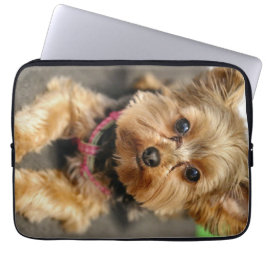 anmutig laptopschutzhülle