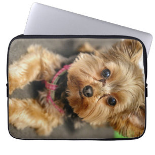 anmutig laptopschutzhülle