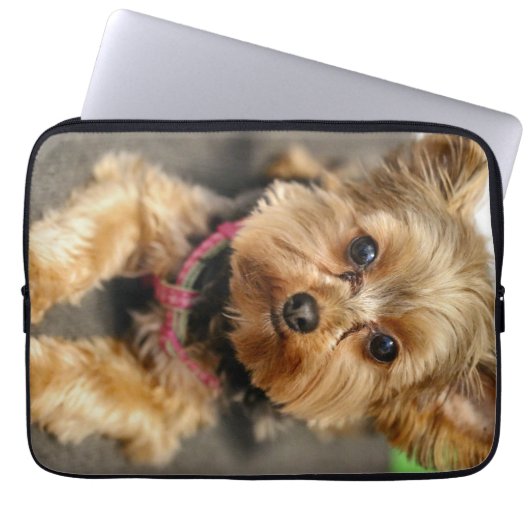 anmutig laptopschutzhülle (Vorderseite)