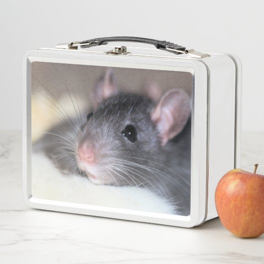 anmutig metall brotdose (Beispiel)