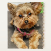 anmutig planer (Rückseite)