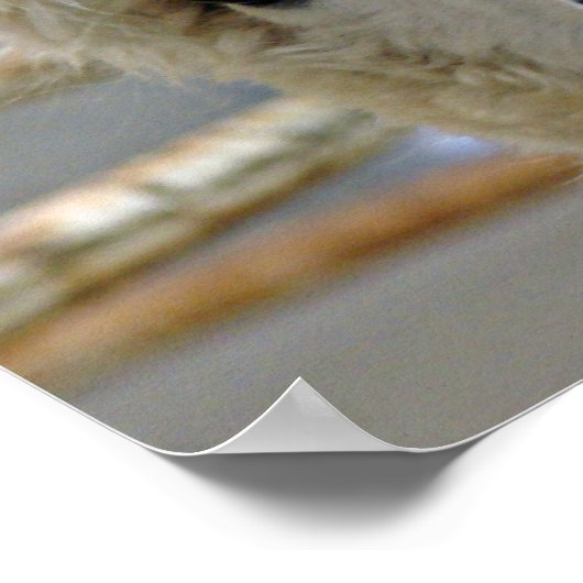 anmutig poster (Ecke)