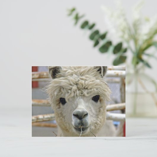 anmutig postkarte (Stehend Vorderseite)