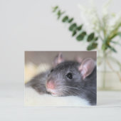 anmutig postkarte (Stehend Vorderseite)