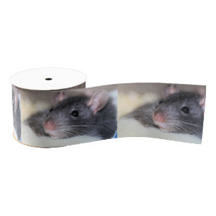 anmutig ripsband