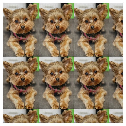 anmutig stoff (Muster)