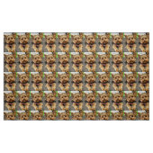 anmutig stoff (Fat Quarter (45,7 x 55,9 cm))