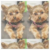 anmutig stoff (Nahaufnahme)