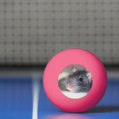 anmutig tischtennisball (Netto)