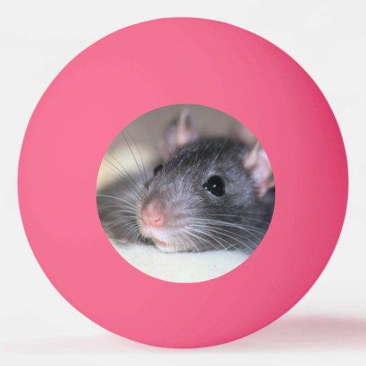 anmutig tischtennisball (Vorderseite)