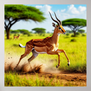 Anmutige Antilope springt in einer afrikanischen S Poster