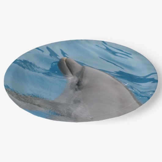 Anmutiger Delfin schwimmt in klarem blauem Wasser Pappteller (Schrägansicht)