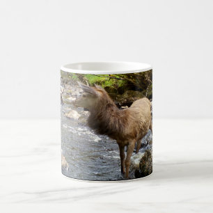Anmutiger Schottischer Junger Rothirsch Hirsch Ski Kaffeetasse