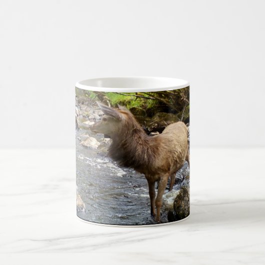 Anmutiger Schottischer Junger Rothirsch Hirsch Ski Kaffeetasse (Mittel)