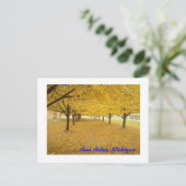 Ann Arbor im Herbst Postkarte (Stehend Vorderseite)