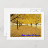 Ann Arbor im Herbst Postkarte (Vorne/Hinten)