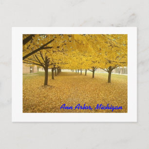 Ann Arbor im Herbst Postkarte
