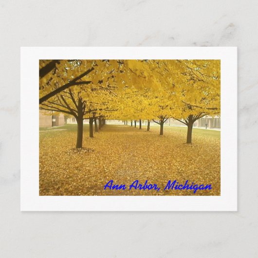 Ann Arbor im Herbst Postkarte (Vorderseite)
