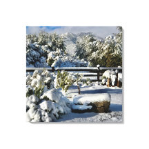 Ann Charles Snowy Day in Arizona