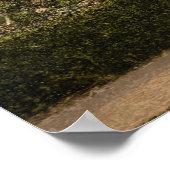 Ann Hathaway's Hütte, Stratford-on-Avon, England Poster (Ecke)