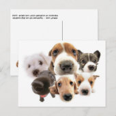 Ann Landers Zitat über Hunde Postkarte (Vorne/Hinten)