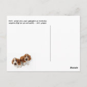 Ann Landers Zitat über Hunde Postkarte (Rückseite)