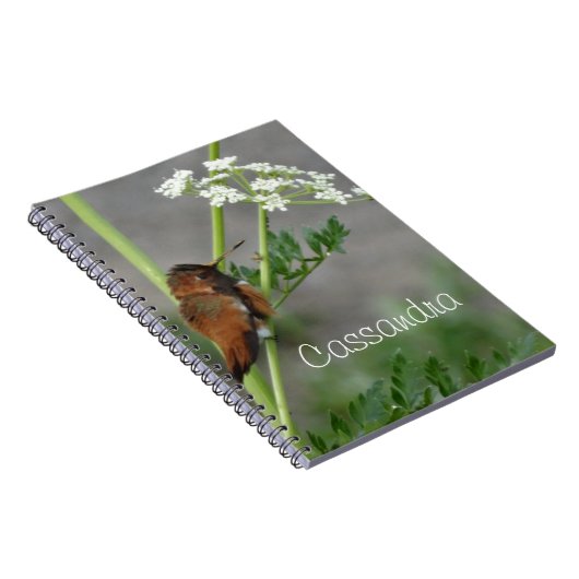 Ann"s Lace and bird Notizblock (Rechte Seite)