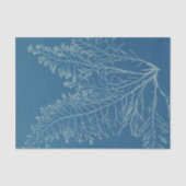 Anna Atkins Botanical Study Seidenpapier (Vorderseite)