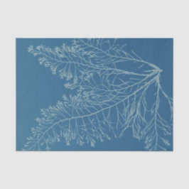 Anna Atkins Botanical Study Seidenpapier