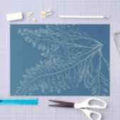 Anna Atkins Botanical Study Seidenpapier (Handwerk)