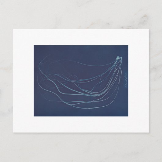 Anna Atkins: Botanischer Zyanotyp Postkarte (Vorderseite)