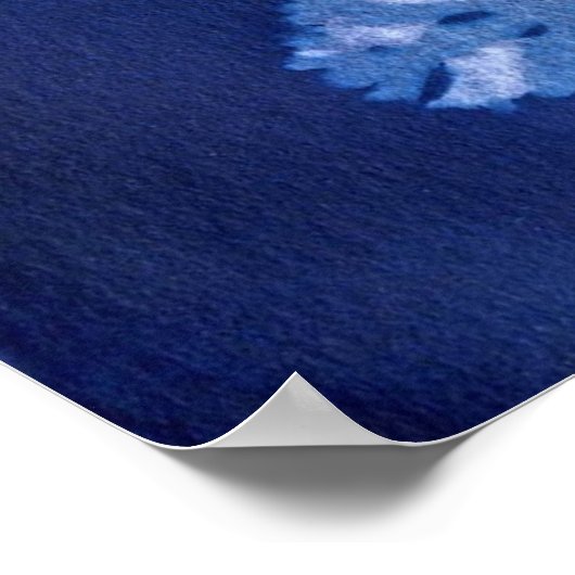 ANNA ATKINS POSTER (Ecke)