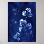 ANNA ATKINS POSTER (Vorne)
