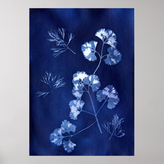 ANNA ATKINS POSTER (Vorne)