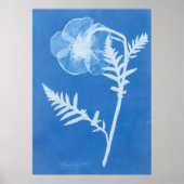 ANNA ATKINS POSTER (Vorne)