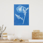 ANNA ATKINS POSTER (Küche)